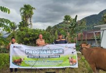 PT Antam Konut Salurkan 26 Ekor Sapi Kurban untuk Warga dan Mitra