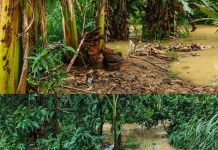 Kali Anggoro Mulai Tak Bersahabat, Pemukiman dan Kebun Warga Terendam