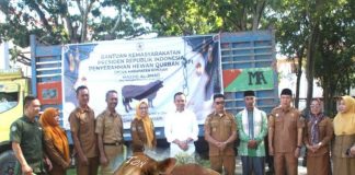 Presiden Prabowo Sumbang Sapi Kurban 1,2 Ton untuk Warga Konawe
