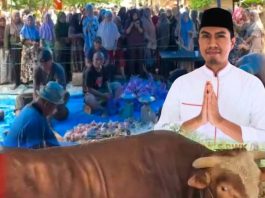 Bahtra Banong Potong Sapi Kurban 1 Ton, Warga Onembute Konawe Antusias Hadir