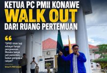 Ketua PMII Konawe: DPRD Gagal Maksimalkan Fungsi Pengawasan