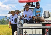 Wamendagri Panen Raya di Konawe, Petani Dapat Bantuan Alsintan