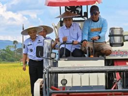 Wamendagri Panen Raya di Konawe, Petani Dapat Bantuan Alsintan