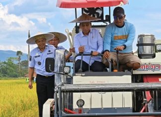 Wamendagri Panen Raya di Konawe, Petani Dapat Bantuan Alsintan
