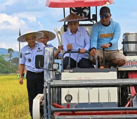 Wamendagri Panen Raya di Konawe, Petani Dapat Bantuan Alsintan