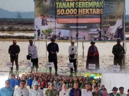 Konawe Jadi Pusat Gerakan Tanam Serempak Target 50 Ribu Hektare