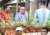 Pemkab Konawe Kembali Salurkan Bibit Durian di Onembute