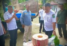 Wabup Konawe Serahkan Bantuan Pompa Air untuk Kelompok Tani di Tongauna