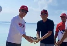 Momen Hangat Yusran Akbar dan Haliana Lepas Penyu di Wakatobi