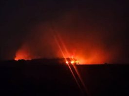 Kebakaran Hebat Landa Kawasan Rumpun Sagu di Desa Kumapo Konawe