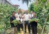Panen 50 kg Kacang Panjang, Rutan Unaaha Dukung Pembinaan Kemandirian Warga Binaan